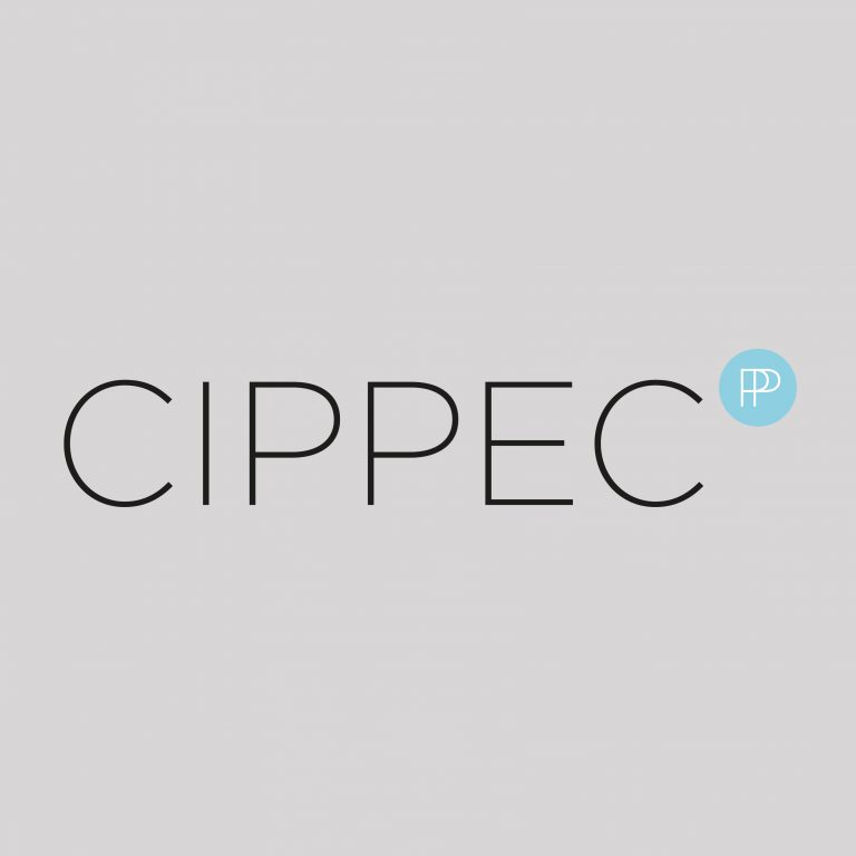Logo Centro de Implementación de Políticas Públicas para la Equidad y el Crecimiento